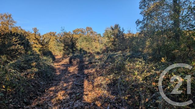 Divers &agrave; vendre - 32150 m2 - Hontanx - 40 - AQUITAINE