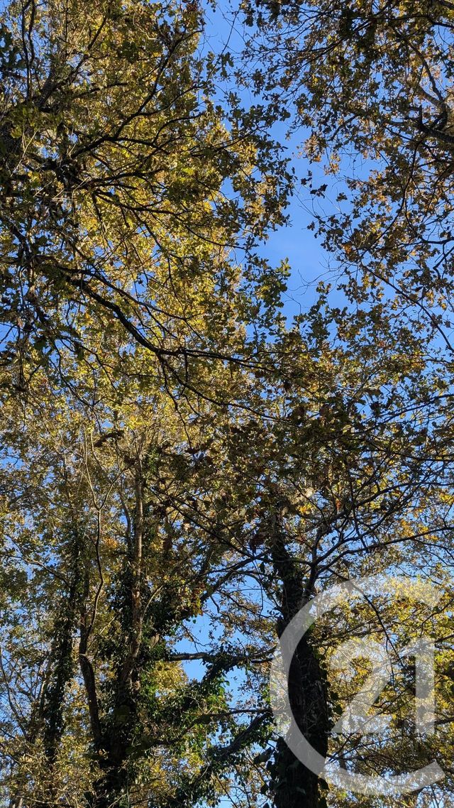 Divers &agrave; vendre - 32150 m2 - Hontanx - 40 - AQUITAINE