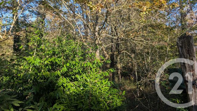 Divers &agrave; vendre - 32150 m2 - Hontanx - 40 - AQUITAINE