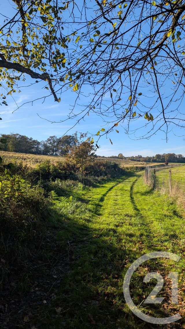 Divers &agrave; vendre - 32150 m2 - Hontanx - 40 - AQUITAINE