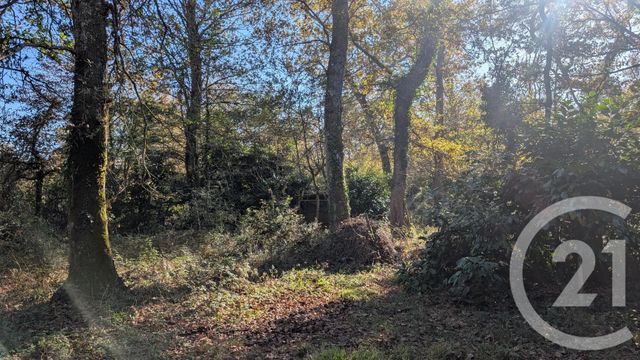 Divers &agrave; vendre - 32150 m2 - Hontanx - 40 - AQUITAINE