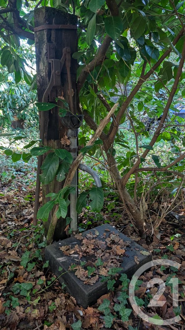 Divers &agrave; vendre - 32150 m2 - Hontanx - 40 - AQUITAINE