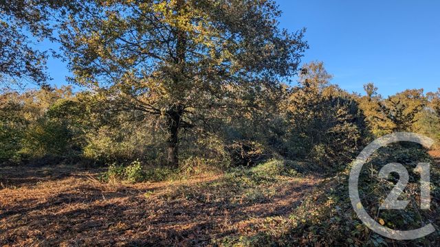 Divers &agrave; vendre - 32150 m2 - Hontanx - 40 - AQUITAINE