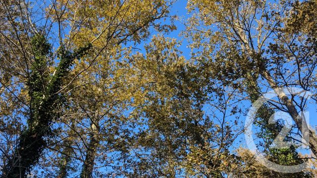 Divers &agrave; vendre - 32150 m2 - Hontanx - 40 - AQUITAINE