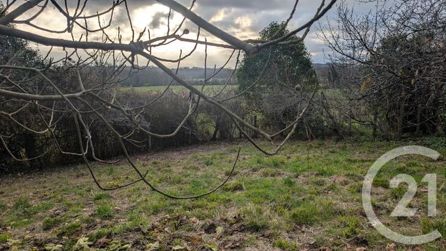 Maison &agrave; vendre - 7 pi&egrave;ces - 122 m2 - St Sever - 40 - AQUITAINE