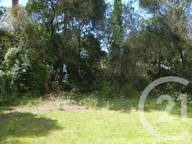 Maison &agrave; louer - 4 pi&egrave;ces - 98 m2 - Labenne - 40 - AQUITAINE