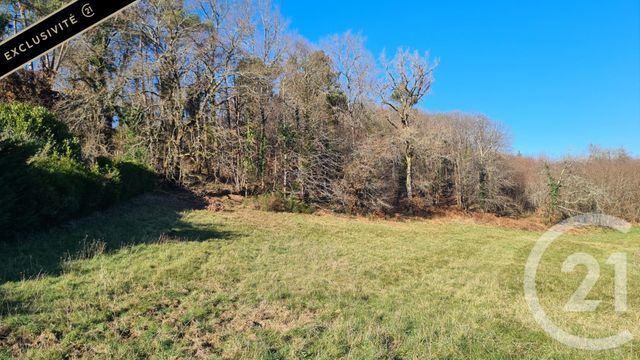 Terrain &agrave; vendre - 10951 m2 - Sarlat La Caneda - 24 - AQUITAINE