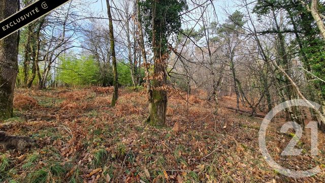 Terrain &agrave; vendre - 10951 m2 - Sarlat La Caneda - 24 - AQUITAINE