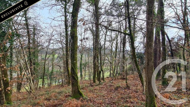 Terrain &agrave; vendre - 10951 m2 - Sarlat La Caneda - 24 - AQUITAINE