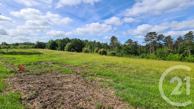 Terrain à vendre - 3015 m2 - Sarlat La Caneda - 24 - AQUITAINE