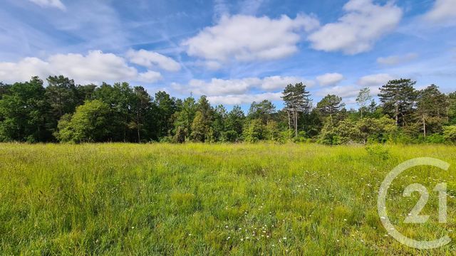 Terrain à vendre - 3020 m2 - Sarlat La Caneda - 24 - AQUITAINE