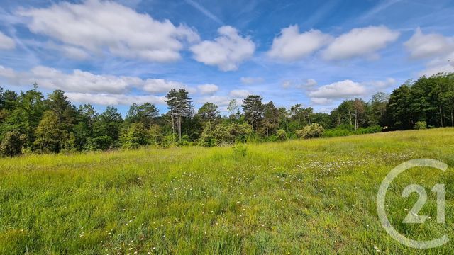 Terrain à vendre - 3020 m2 - Sarlat La Caneda - 24 - AQUITAINE