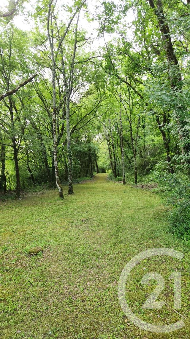 Maison &agrave; vendre - 9 pi&egrave;ces - 253,20 m2 - Castelnaud La Chapelle - 24 - AQUITAINE
