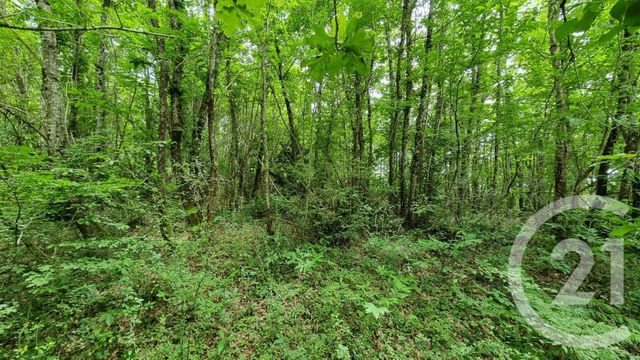 Terrain &agrave; vendre - 2240 m2 - Milhac - 46 - MIDI-PYRENEES