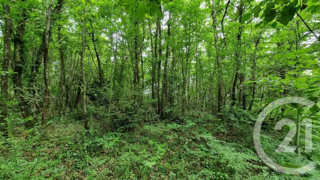 Terrain &agrave; vendre - 2240 m2 - Milhac - 46 - MIDI-PYRENEES