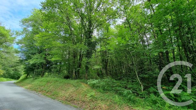 Terrain &agrave; vendre - 2240 m2 - Milhac - 46 - MIDI-PYRENEES