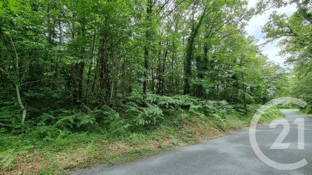 Terrain &agrave; vendre - 2240 m2 - Milhac - 46 - MIDI-PYRENEES