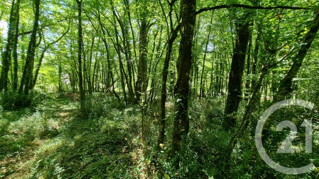 Terrain à vendre - 2613 m2 - Carsac Aillac - 24 - AQUITAINE