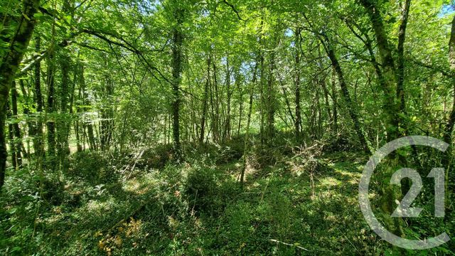 Terrain à vendre - 2613 m2 - Carsac Aillac - 24 - AQUITAINE