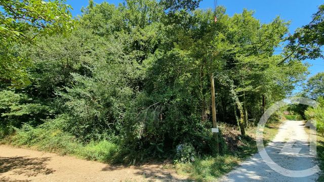 Terrain à vendre - 2613 m2 - Carsac Aillac - 24 - AQUITAINE