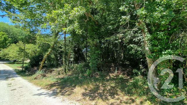 Terrain à vendre - 2613 m2 - Carsac Aillac - 24 - AQUITAINE