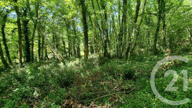 Terrain à vendre - 2613 m2 - Carsac Aillac - 24 - AQUITAINE