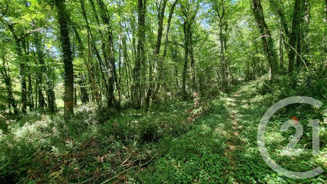 Terrain à vendre - 2613 m2 - Carsac Aillac - 24 - AQUITAINE