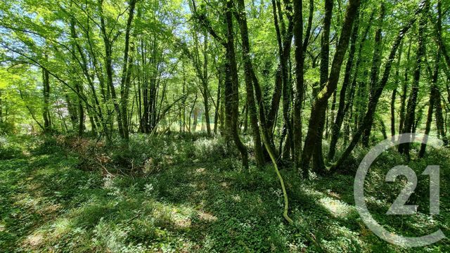 Terrain à vendre - 2613 m2 - Carsac Aillac - 24 - AQUITAINE