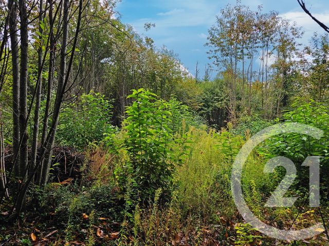 Terrain à vendre - 3405 m2 - Carlux - 24 - AQUITAINE