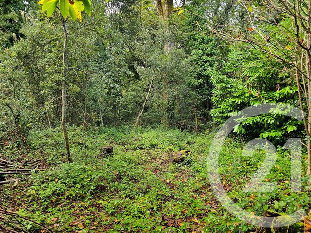 Terrain à vendre - 3405 m2 - Carlux - 24 - AQUITAINE