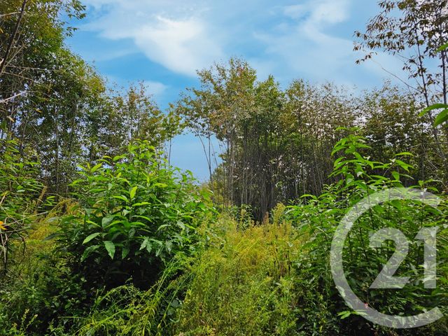 Terrain à vendre - 3405 m2 - Carlux - 24 - AQUITAINE