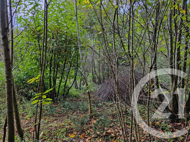 Terrain à vendre - 3405 m2 - Carlux - 24 - AQUITAINE