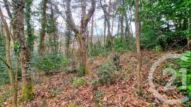 Terrain à vendre - 3200 m2 - Sarlat La Caneda - 24 - AQUITAINE
