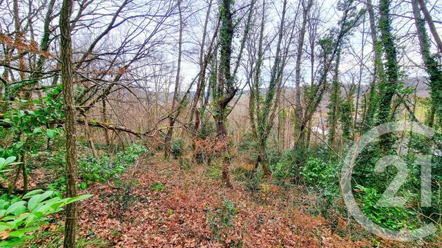 Terrain à vendre - 3200 m2 - Sarlat La Caneda - 24 - AQUITAINE