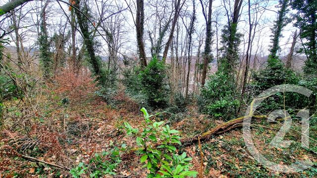 Terrain à vendre - 3200 m2 - Sarlat La Caneda - 24 - AQUITAINE