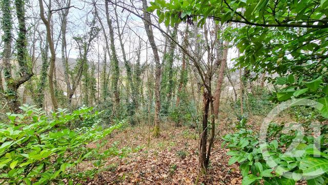 Terrain à vendre - 3200 m2 - Sarlat La Caneda - 24 - AQUITAINE