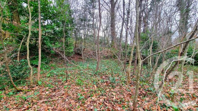 Terrain à vendre - 3200 m2 - Sarlat La Caneda - 24 - AQUITAINE