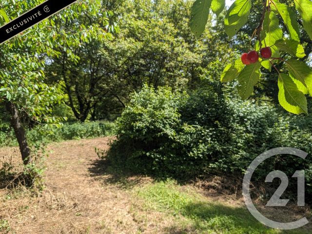 Terrain à vendre - 4665 m2 - St Vincent De Cosse - 24 - AQUITAINE