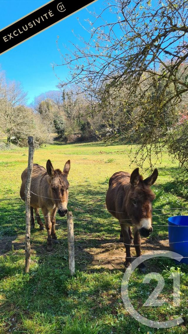 Maison &agrave; vendre - 4 pi&egrave;ces - 106 m2 - Calviac En Perigord - 24 - AQUITAINE