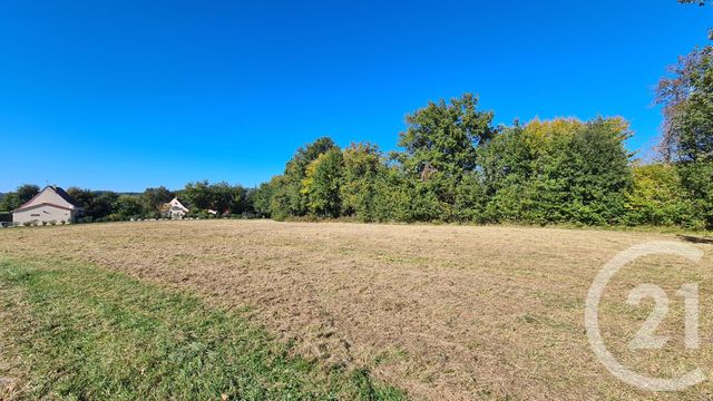 Terrain &agrave; vendre - 5471 m2 - St Julien De Lampon - 24 - AQUITAINE