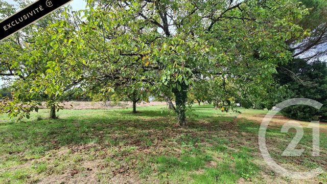Terrain &agrave; vendre - 3592 m2 - St Cyprien - 24 - AQUITAINE