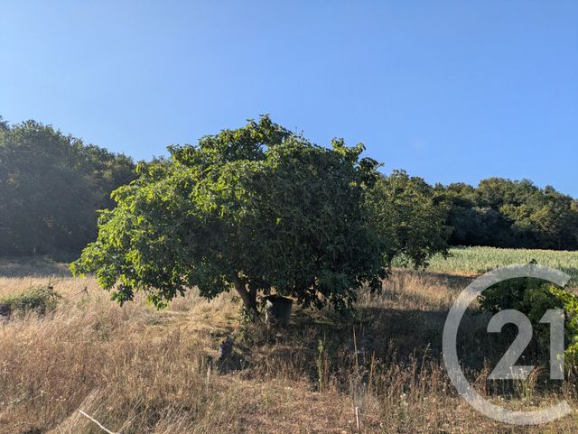 Maison &agrave; vendre - 5 pi&egrave;ces - 110 m2 - Carsac Aillac - 24 - AQUITAINE
