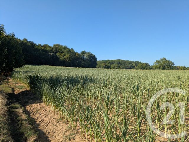 Maison &agrave; vendre - 5 pi&egrave;ces - 110 m2 - Carsac Aillac - 24 - AQUITAINE