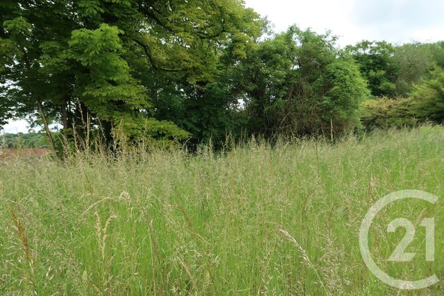 Terrain à vendre - 740 m2 - Le Malesherbois - 45 - CENTRE