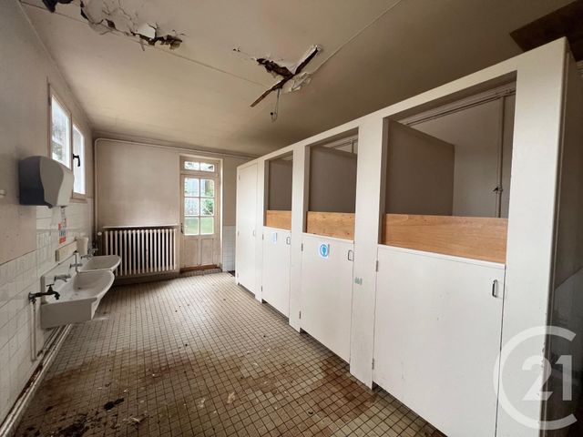 Maison &agrave; vendre - 10 pi&egrave;ces - 400,52 m2 - Boesses - 45 - CENTRE