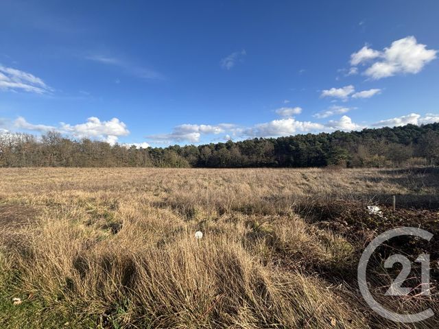 terrain - BUTHIERS - 77