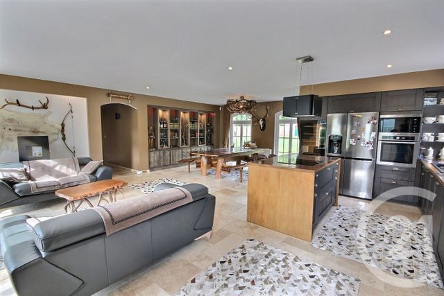 maison - LA FERTE ST CYR - 41