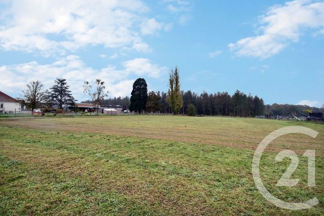 Terrain à vendre - 4008 m2 - Thoury - 41 - CENTRE