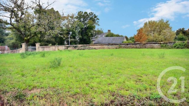 terrain - COURBOUZON - 41