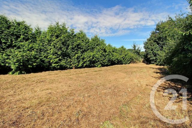 Terrain &agrave; vendre - 1665 m2 - Autainville - 41 - CENTRE